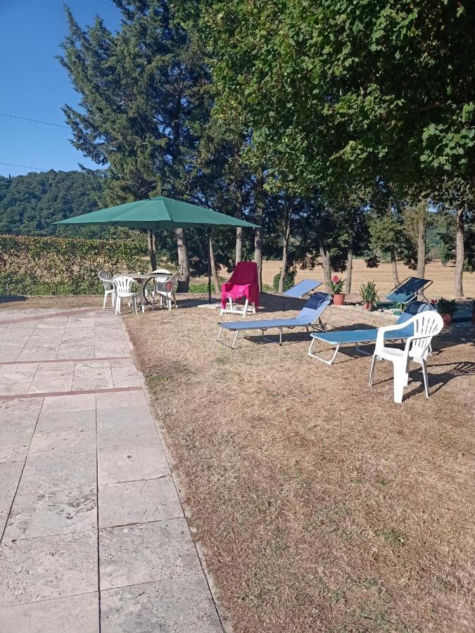 塞尔·迪·拉波拉诺Agriturismo Podere La Selva别墅 外观 照片