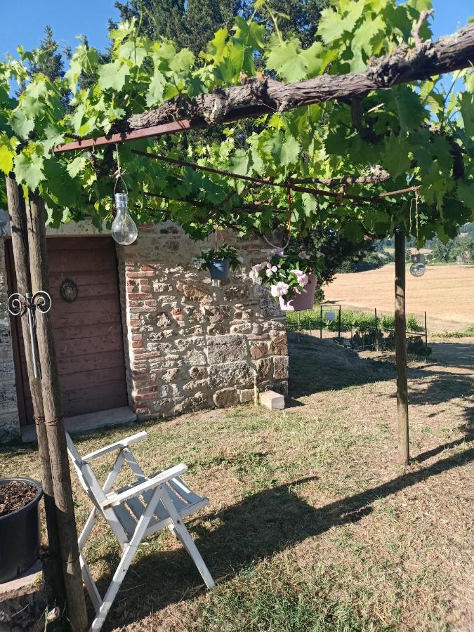 塞尔·迪·拉波拉诺Agriturismo Podere La Selva别墅 外观 照片