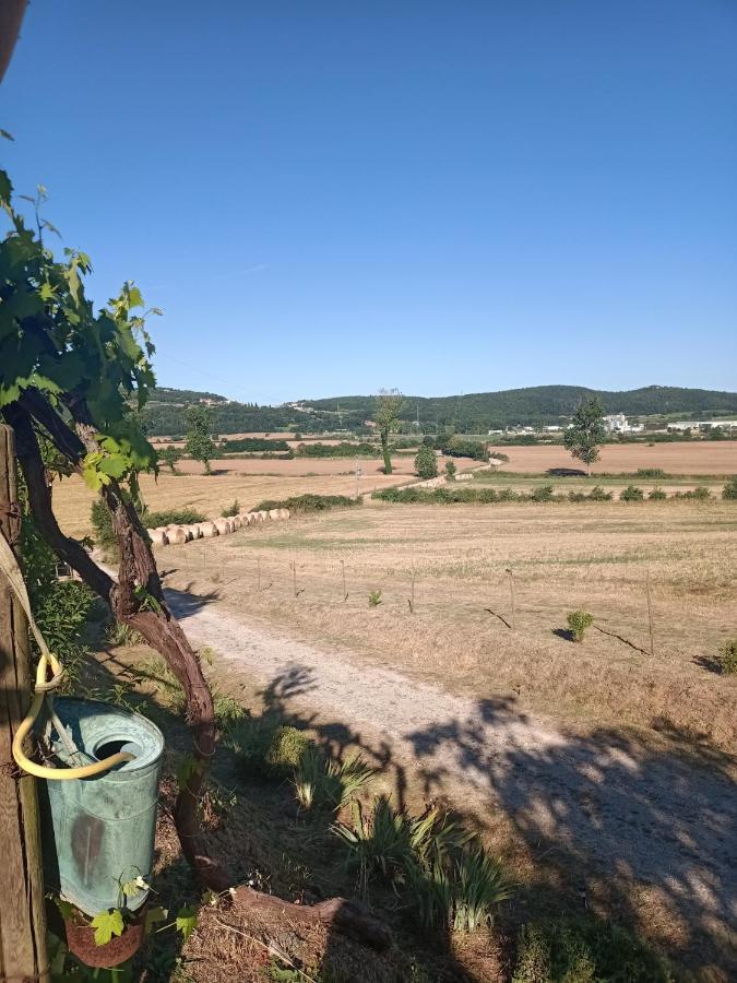 塞尔·迪·拉波拉诺Agriturismo Podere La Selva别墅 外观 照片