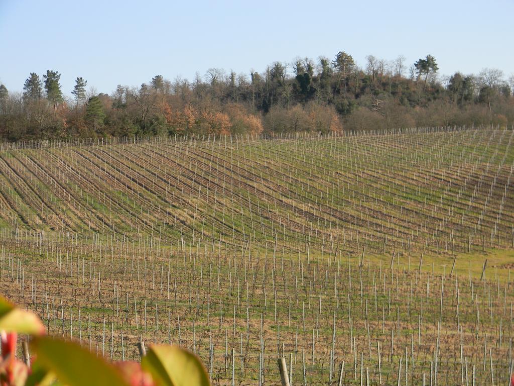 塞尔·迪·拉波拉诺Agriturismo Podere La Selva别墅 外观 照片