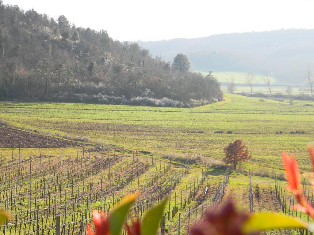 塞尔·迪·拉波拉诺Agriturismo Podere La Selva别墅 外观 照片