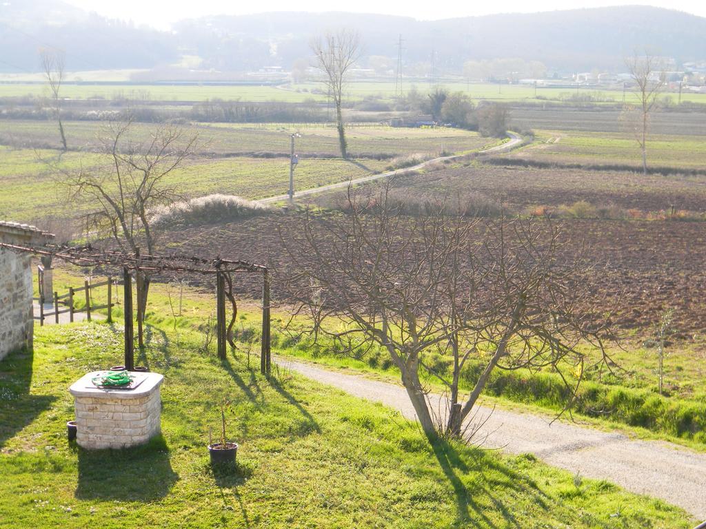塞尔·迪·拉波拉诺Agriturismo Podere La Selva别墅 外观 照片