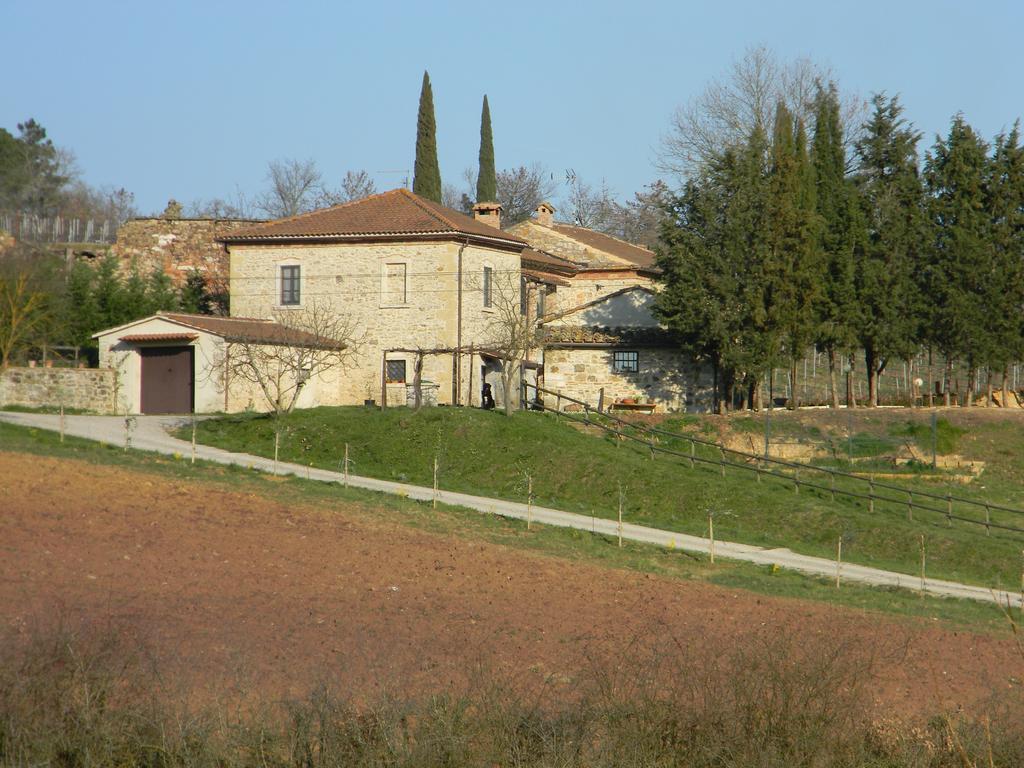 塞尔·迪·拉波拉诺Agriturismo Podere La Selva别墅 外观 照片