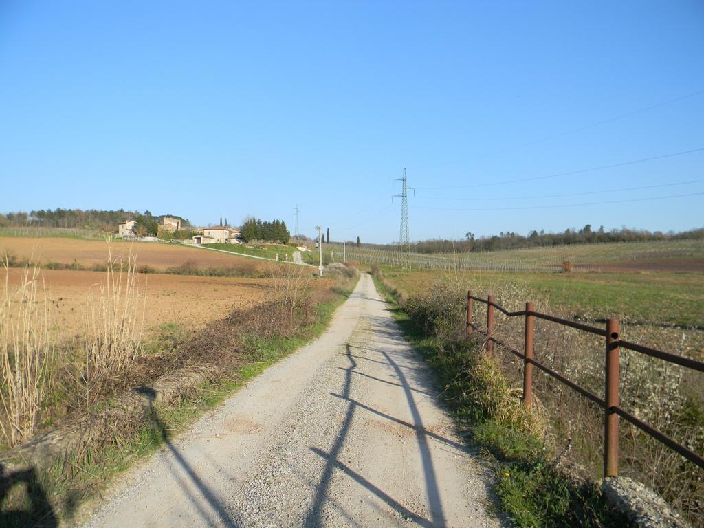 塞尔·迪·拉波拉诺Agriturismo Podere La Selva别墅 外观 照片