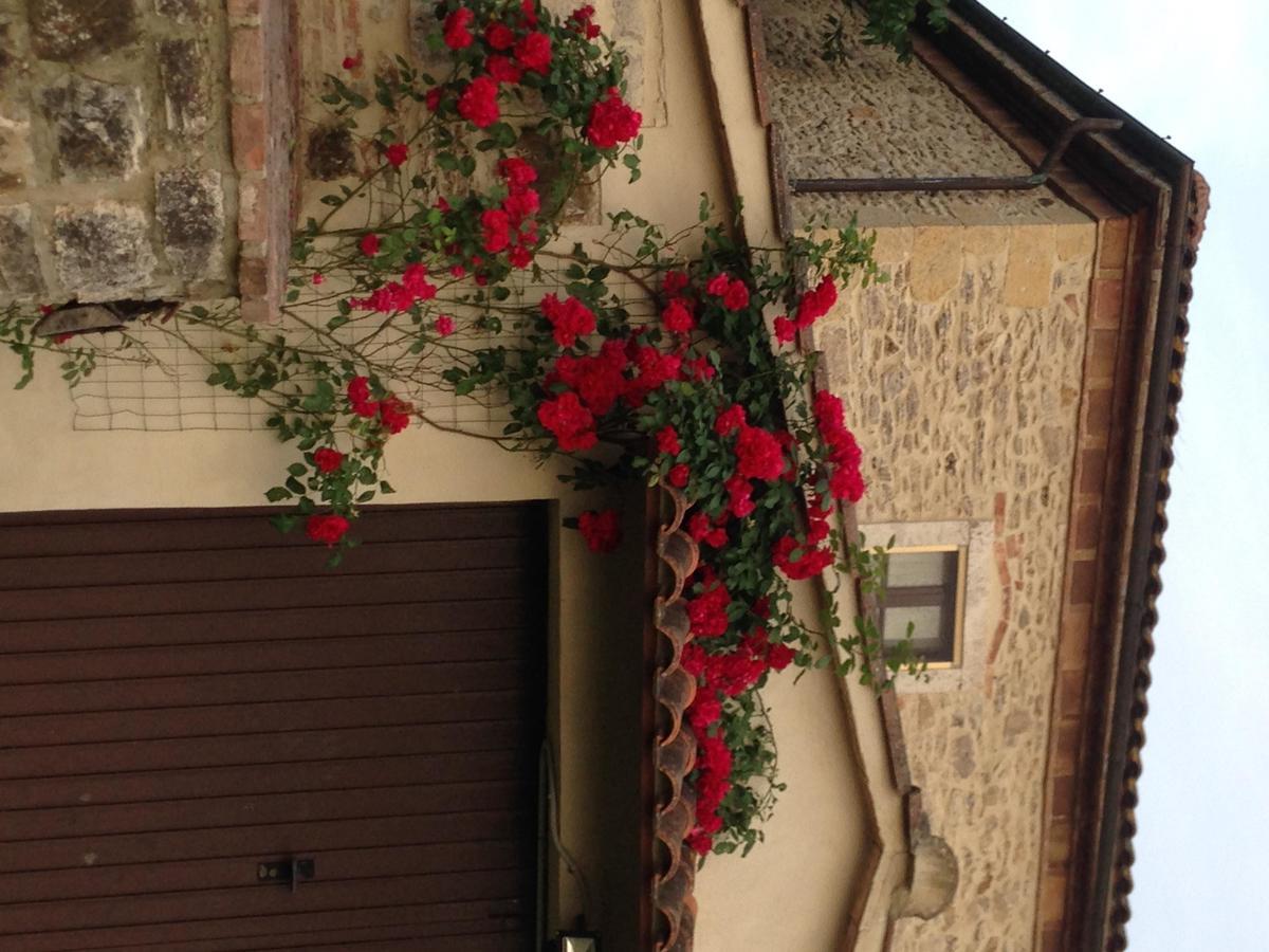 塞尔·迪·拉波拉诺Agriturismo Podere La Selva别墅 外观 照片